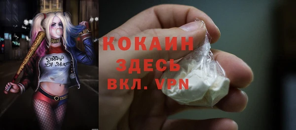крисы Армянск