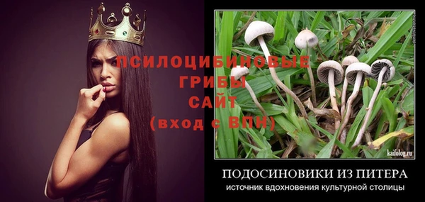 крисы Армянск