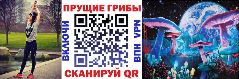 Псилоцибиновые грибы Psilocybe  Рыбинск 