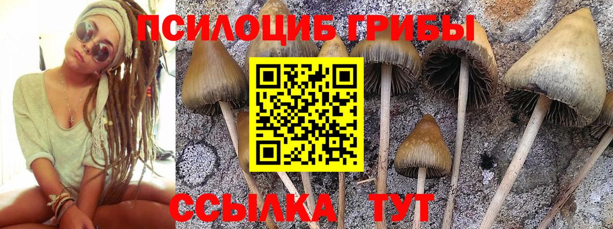 Псилоцибиновые грибы мухоморы  Вход с VPN  Галлюциногенные грибы ЛСД  Рыбинск 